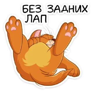 🐾