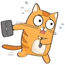 🐱