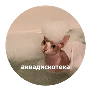 🥳