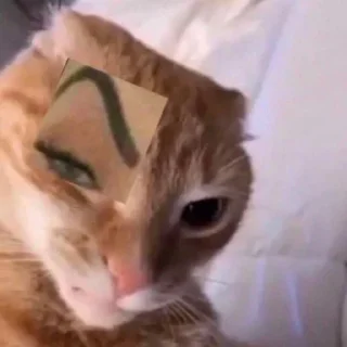 🤨