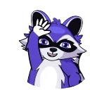 Raccoon @steamify
