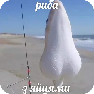 👍