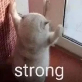 💪
