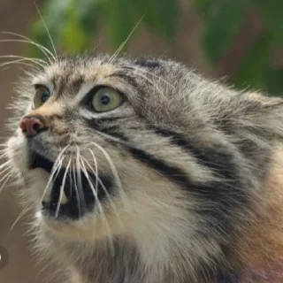 😨