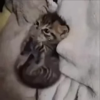 😋