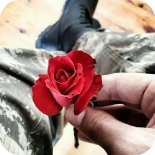 🌸