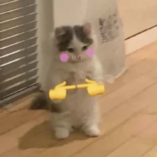 😇