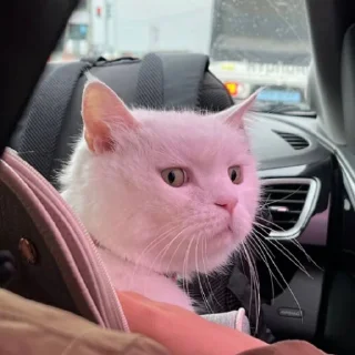 🤨