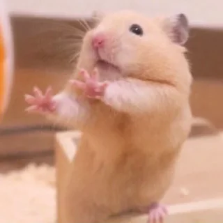 🤗