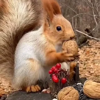🤩