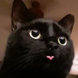 😛