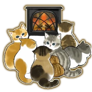 🐱