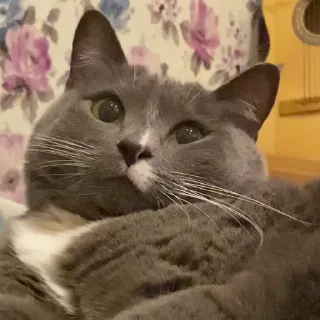 🥰
