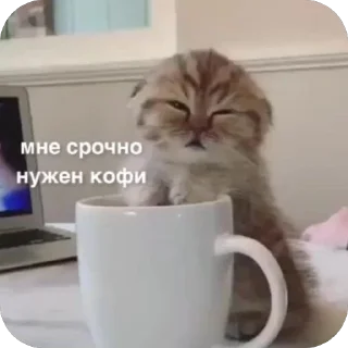 ☕️