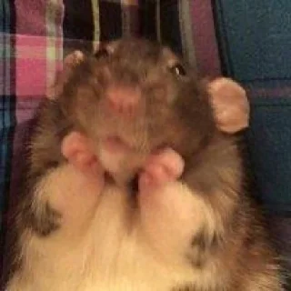 ☺️