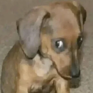 🥺