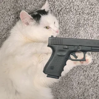 🔫