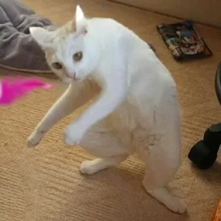 😳