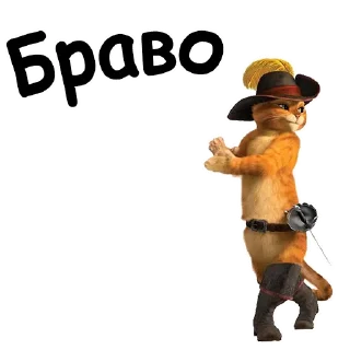 👏