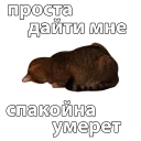 😖