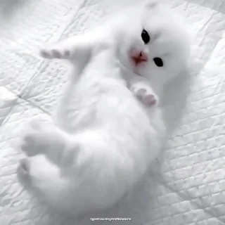 🍙
