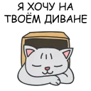 😆