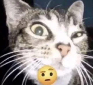 🤨