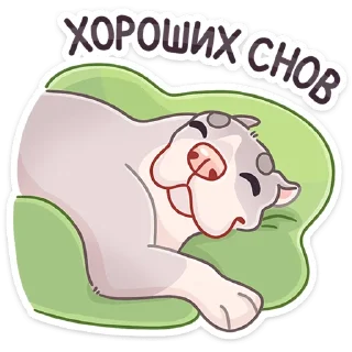 😴