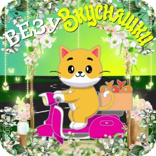 🐱