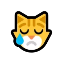 😿