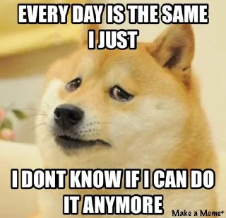 😪