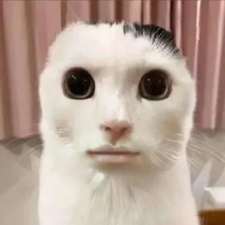 😐