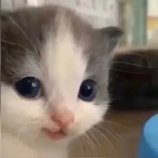 🙂