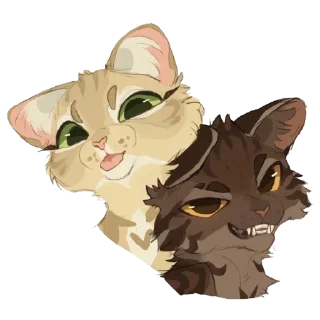 🐱