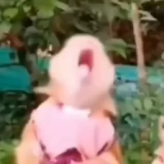 🐵