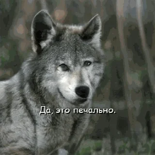 😔