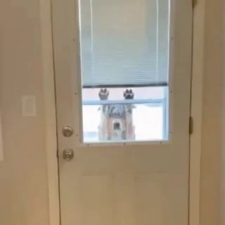 🤩