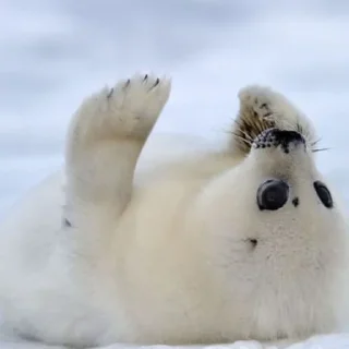 🙌