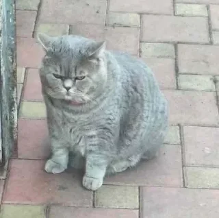 😬