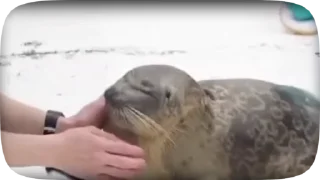 😍