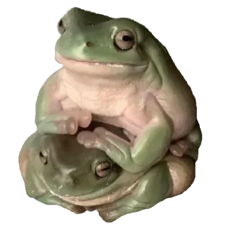 🐸