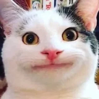 🙂
