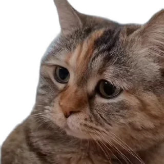😨