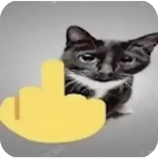 😡