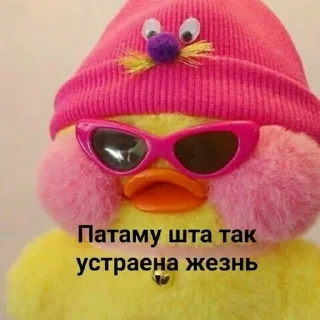 😎