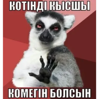 😂