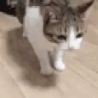😴