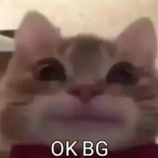 💫