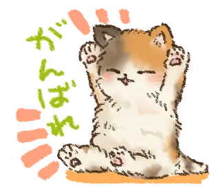 🐱