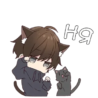🐱